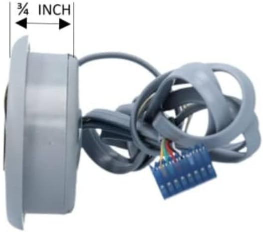 和田賢一大型作品！アクリル！抽象画！ 中村一美と二人展！ 検加納光於